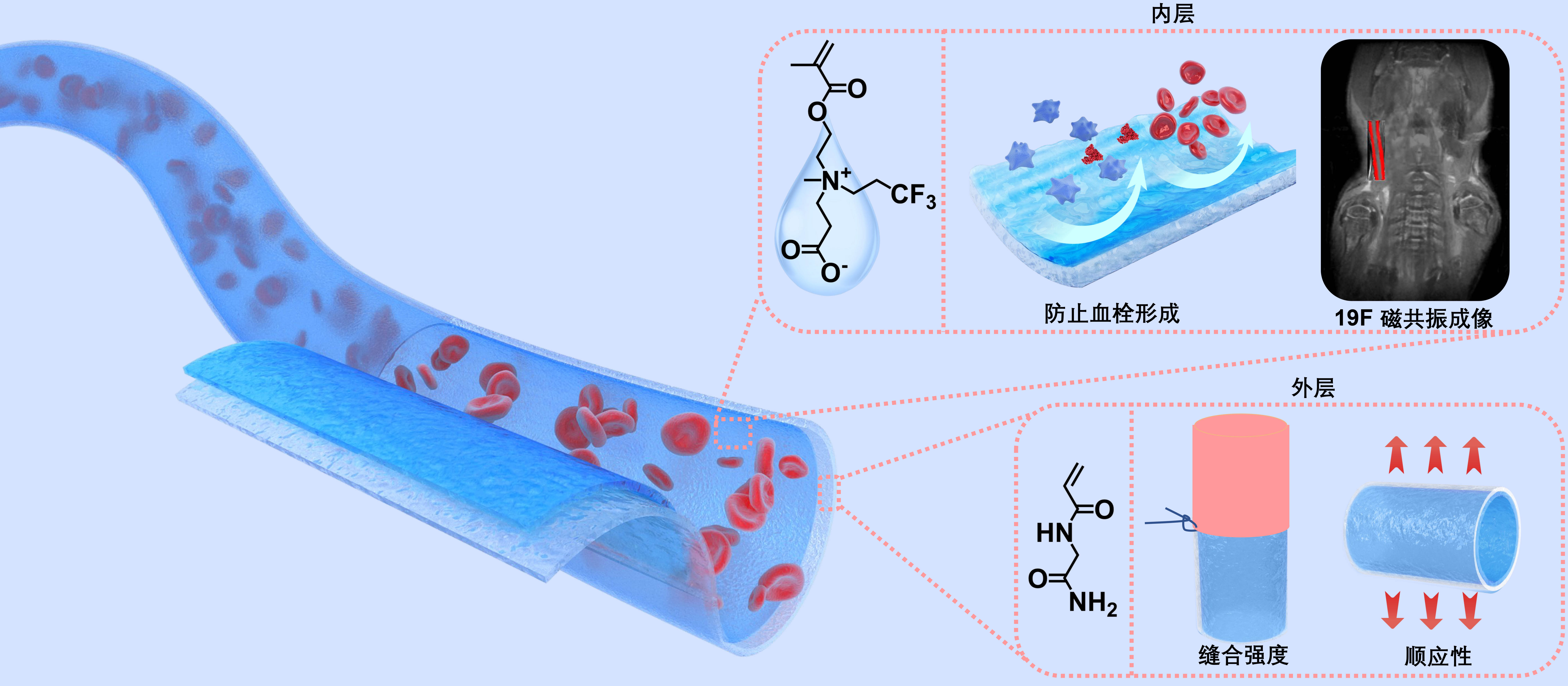 生物仿生材料.jpg